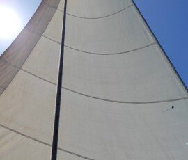 The genoa.