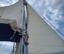 The main sail & genoa.