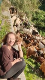 Goats and sheep herd grazing along Canale Grande in front of our gardens.