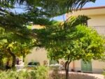 The rich garden doesn't allow you to find a full clear view of the house. It's rich, it's pleasant and it's beautiful.