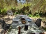 The Grand Table - The large old table for 10-12 guests sits under two beautiful overarching olive trees, few meters down in front of the Summer House and is perfect for a morning coffee, breakfast, lunch or a serious feast. The romantic view of the old stone wall covered in ivy and wild grape vines and of the monumental ruin of the Convent di Sant Antonino (XII century) is unique and inspirational. In the evening or at night, with the help of some lights, the Grand Table can be the place of a memorable feast or animated debates amongst your friends and family. No respectable place in Sicily can forego such a place.
