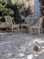 The Terrace where you might get to meet our local residents.