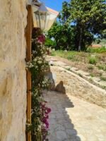 The Terrace. When you come out of your bedroom stretching out in the morning, stop and take moment to smell and enjoy the colors of the flowers around, a true feast of the senses.