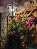 The Terrace. For those night owls that can't sleep, come out of your bedroom and spend a few moments of peace on the terrace. The flowers are beautiful and fragrant during the night too.